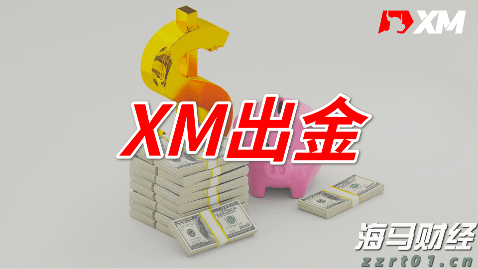 独立候选人纳夫罗茨基赢得波兰总统选举