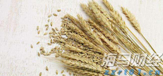 桂平武术队在全国比赛中斩获2金